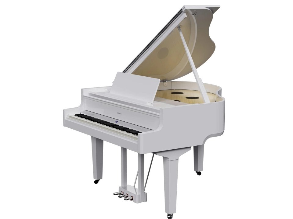 ROLAND GP-9 PW - Ảnh thực tế 3